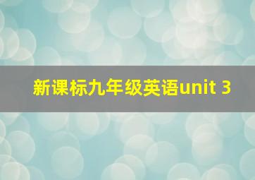 新课标九年级英语unit 3